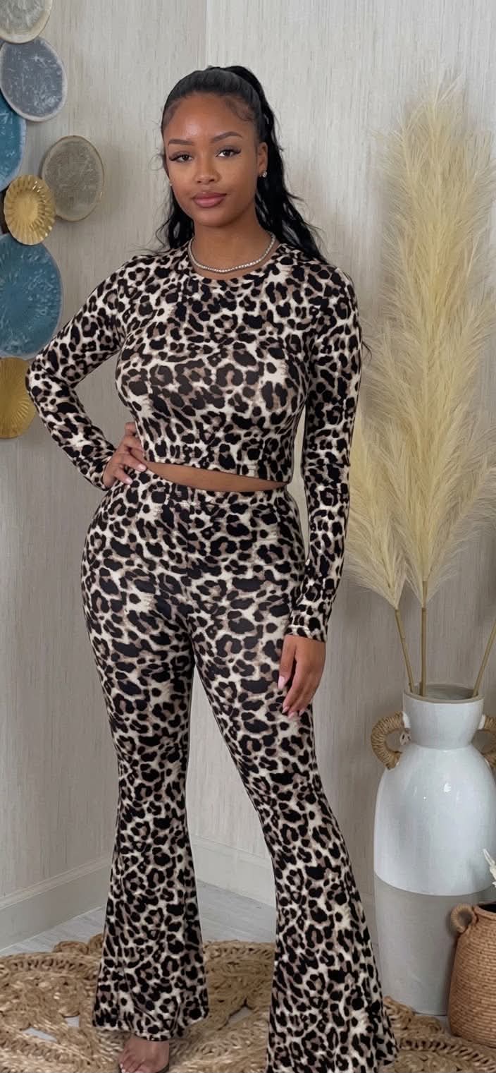 Feisty Set