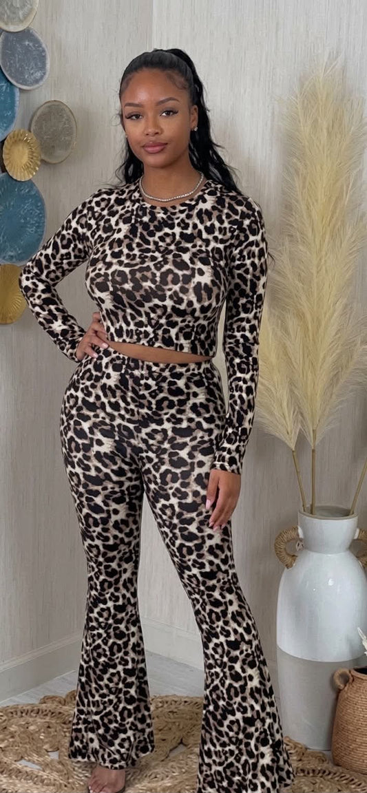 Feisty Set